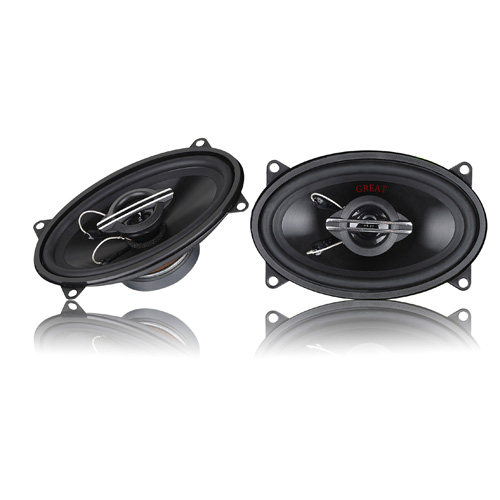 Altavoz Automotriz 4